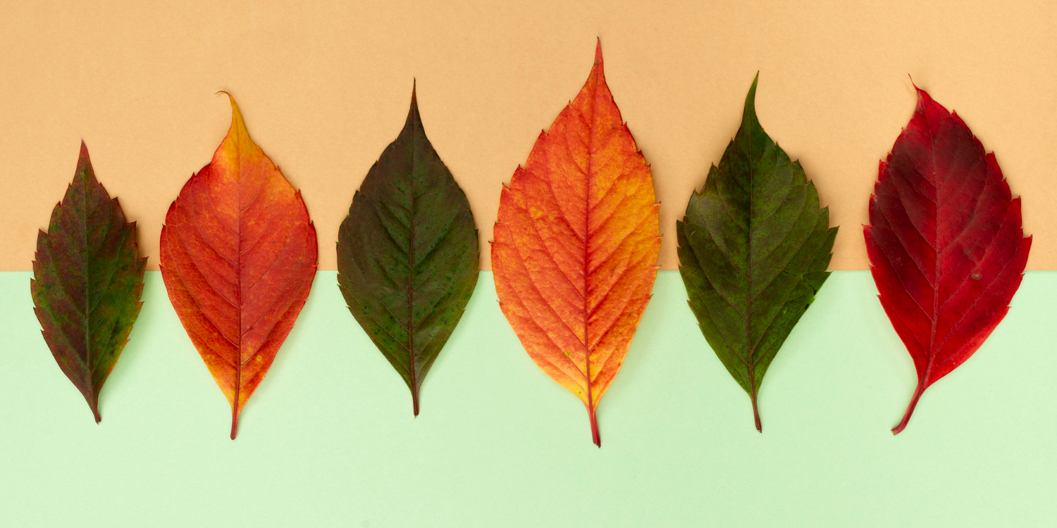 One Day a week Vegan Autumn Palette