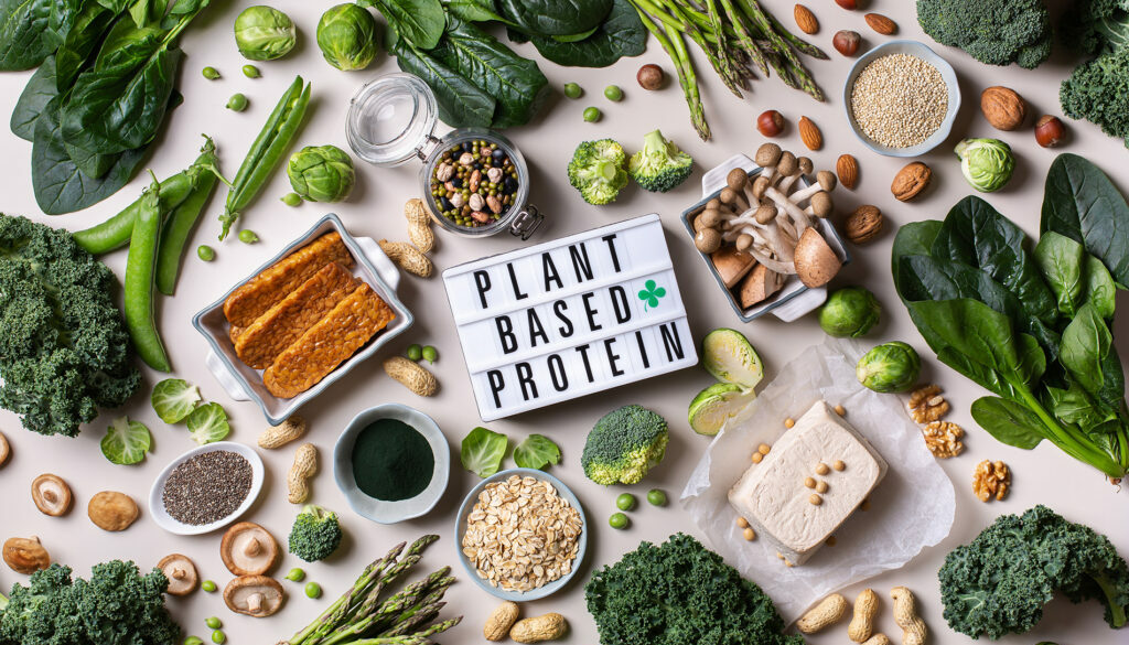 Plant Based Proteins